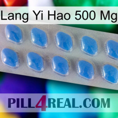 Lang Yi Hao 500 Mg 22